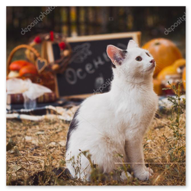 Álbum de lino grabado para boda